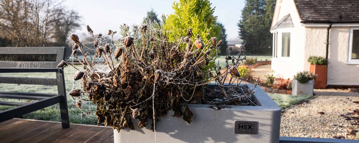 winter metal planter