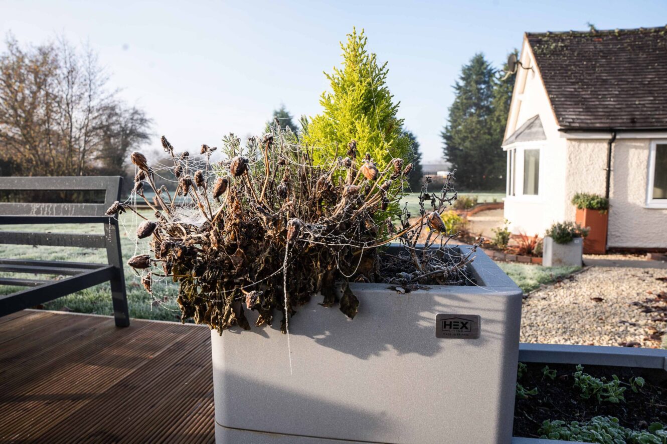 winter metal planter